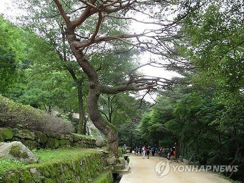 ▲ 경북 문경새재 도립공원 ⓒ 연합뉴스