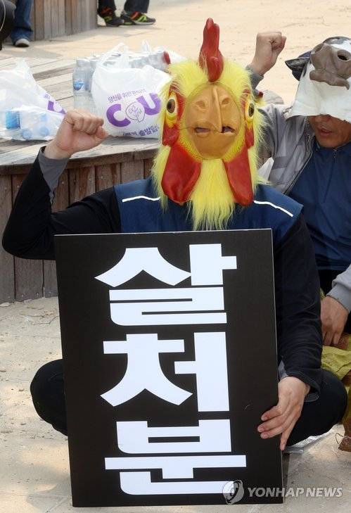 ▲ AI 무차별 살처분 반대 집회.ⓒ연합뉴스