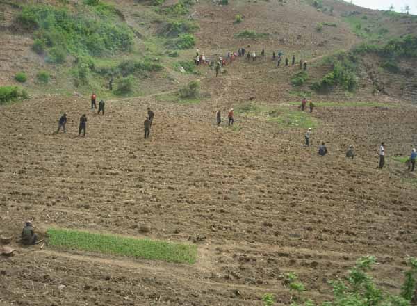 ▲ 북한 주민들이 농사짓는 모습. [사진: 김성일 서울대 교수 제공]