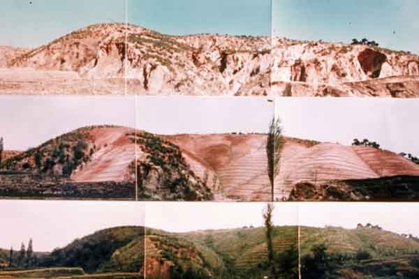 ▲ 산림 회복에 성공한 경북 영일의 사례. 1975년에 찍은 사진이다. [사진: 김성일 교수 제공]