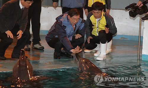 ▲ 돌고래와 인사하고 있는 박원순 서울시장. (저작권자 연합뉴스, 무단전재-재배포금지)