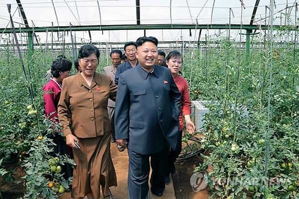 ▲ 평양 장천채소전문농장을 찾은 김정은. ⓒ연합뉴스. 무단전재 및 재배포 금지.