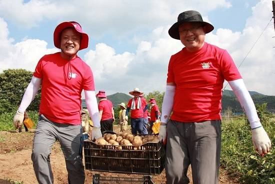 ▲ LG디스플레이 한상범 사장(오른쪽)과 석호진 노조위원장(왼쪽)이 수확한 감자를 운반하고 있다. ⓒLG디스플레이 제공