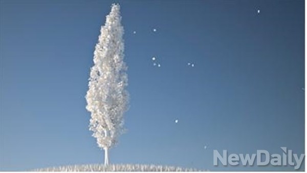 ▲ Baum, HD 1920 X 1080 pixels, 44100 Hz 16 bit stereo, 3min, 2014.ⓒ 류호열