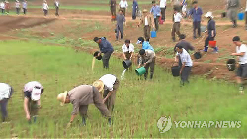 ▲ 북한이 심각한 가뭄으로 농업 증산 노력에 비상이 걸렸다. 조선중앙통신 홈페이지는 21일 평양시 강남군 당곡협동농장의 가뭄 대응 노력을 영상으로 내보냈다. 경작지가 물 부족으로 곳곳에서 갈라진 것이 눈에 띈다. 중앙통신은 지난 19일 이번 가뭄이 2001년 이후 가장 심하다고 보도했다.    [사진=연합뉴스]