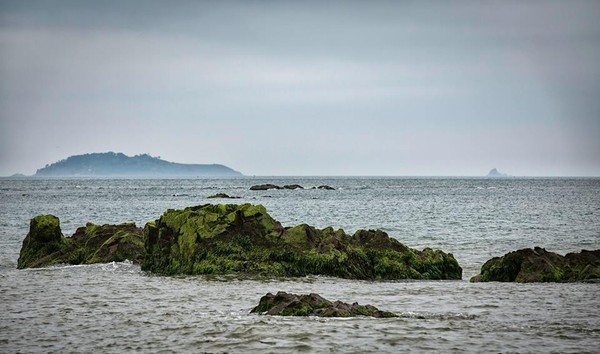 ▲ 런던 전시회를 마치고 안면도로 돌아온 손현주 작가가 페북에 올린 사진. 작가는 이 사진 아래 이렇게 글을 썼다. "다시 바다. 금방이라도 울컥 비가 쏟아질 것 같아요. 물기 잔뜩 머금은 하늘. 잠시 그 하늘과 바다가 닿아 있는 곳을 바라보고 왔습니다. 살 것 같습니다." ⓒ손현주