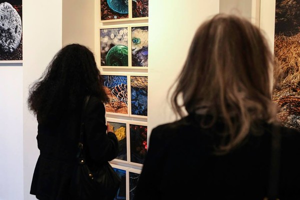 ▲ 작품을 감상 중인 런던 시민들. ⓒ손현주