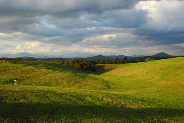 ▲ 美사우스캐롤라이나의 풍경 [사진: 플리커 캡쳐]