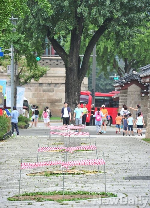 ▲ 고궁 주위 썩은 가로수가 제거됐다 ⓒ 정재훈
