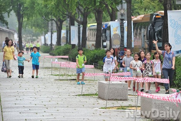 ▲ 고궁 주위 썩은 가로수가 제거됐다 ⓒ 정재훈
