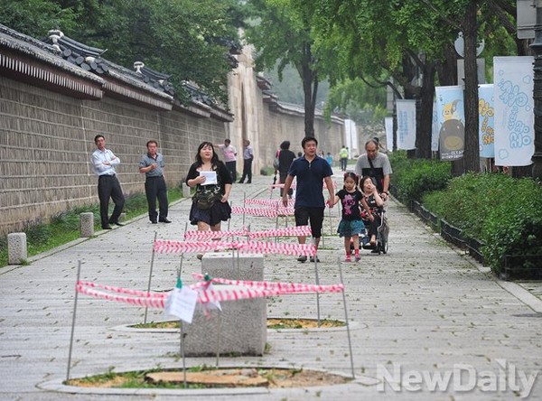 ▲ 고궁 주위 썩은 가로수가 제거됐다 ⓒ 정재훈