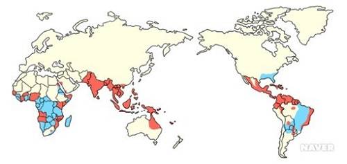 ▲ 뎅기열 발생지역ⓒ제공=서울대의대 의학정보실