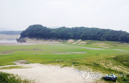 ▲ 풀밭으로 변한 안동호 바닥.ⓒ연합뉴스