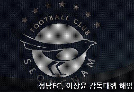 ▲ ⓒ성남FC