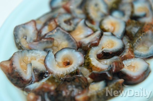 ▲ 먹거리해녀촌에서 금방 나온 해삼회 ⓒ 뉴데일리 정상윤