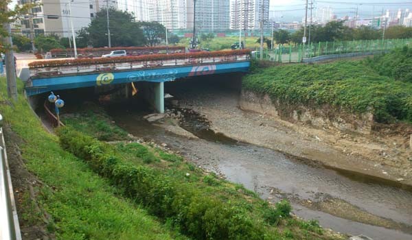 ▲ 집중호우 당시 엄청나게 불어났던 좌천천은 7일 현재 이런 상태였다. [사진: 뉴데일리]