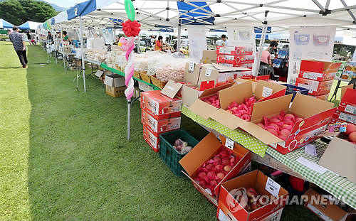 ▲ 추석을 앞두고 열린 한 지역의 우리 농특산물 한마당 장터에 손님들이 없이 썰렁하다.ⓒ연합