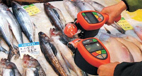 ▲ ⓒ뉴데일리 DB