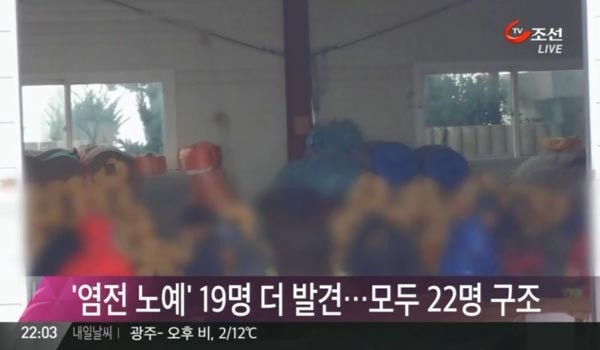 ▲ 2월 전남 신안군을 중심으로 염전노예 사건이 불거진 뒤에도 피해자들은 몇 달 동안 계속 나왔다. [사진: TV조선의 추후 구출된 '염전노예' 보도화면 캡쳐]