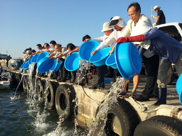 ▲ ⓒ경상북도수산자원개발연구소는 올해 생산한 강도다리 치어 20만마리를 영덕군(병곡면 10만), 울진군(기성면 10만) 연안에 방류했다. 