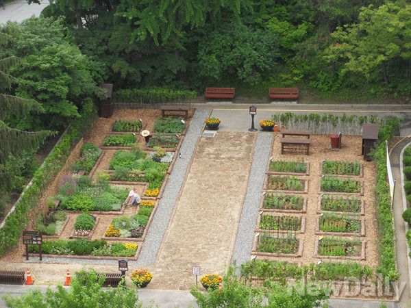 ▲ 이용률이 높은 주차장을 약 5천 5백만원의 예산을 들여 없애고 '텃밭'을 만든다는 발상에 대해 '비효율적 전시행정'이라는 비판의 목소리가 시립대 내부에서 나오고 있다.ⓒ 출처 서울시립대