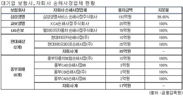 ▲ 대기업 보험사-자회사의 손해사정업체 현황 ⓒ출처=금융감독원