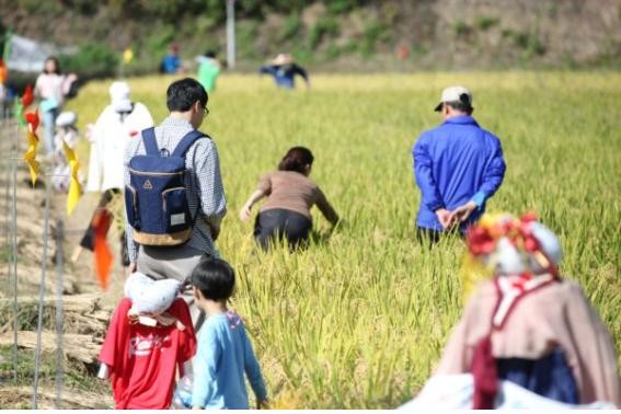 ▲ 제8회 군위 이로운 농‧임산물 축제가 9일 개막식을 시작으로 4일동안 열린다. 사진은 군위 메뚜기 잡기 체험 사진ⓒ군위군 제공