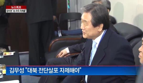 ▲ 김무성 새누리당 대표는 지난 10일 "대북전단 살포를 자제해야 한다"고 말해 비난을 받고 있다. ⓒ채널A 관련 보도화면 캡쳐