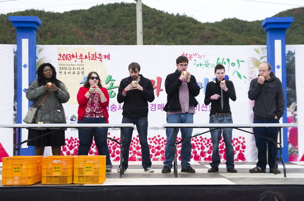 ▲ 청송사과 축제에는 많은 외국인들이 참여할 정도로 인기가 많다. 지난해 사과축제에 참여한 외국인들이 사과먹기 대회에 참여한 모습이다.ⓒ청송군 제공