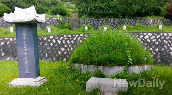 ▲ 시신 175구가 함께 묻힌 애국지사 묘역. 왼쪽에 희생자들의 넋을 기리는 비문이 새겨진 묘비가 서 있다.   ⓒ 뉴데일리 조광형 기자