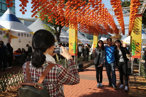 ▲ 청도반시 축제에는 가족단위와 연인 들이 많이 찾았다. 반시를 배경으로 관람객들이 사진촬영에 몰두하고 있는 모습이다.ⓒ청도군 제공