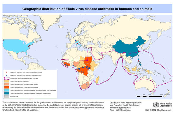 WHO가 2014년 8월 18일자로 올린 '에볼라 바이러스 확산 우려지역'. 석달이 지난 지금은 북미로도 번지고 있다. ⓒWHO 에볼라 특별섹션 캡쳐