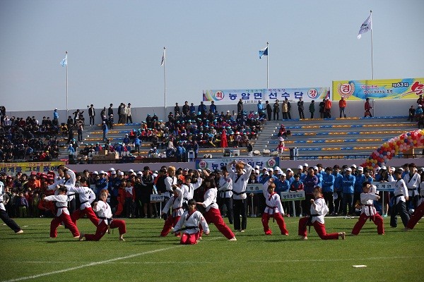 ▲ 문경시는 22일 제63회 문경시민체육대회 및 문화제를 문경시민운동장에서 개최했다.ⓒ문경시 제공