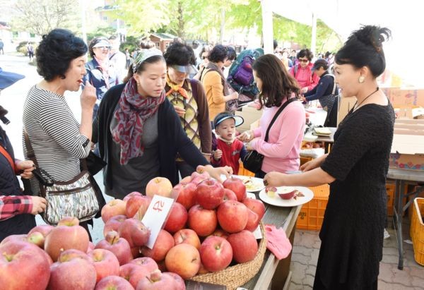 ▲ 경북 문경시가 주최한 문경사과 축제에 50만명 이상이 다녀간 것으로 나타나 대회가 성공적으로 마쳐졌다.ⓒ문경시 제공