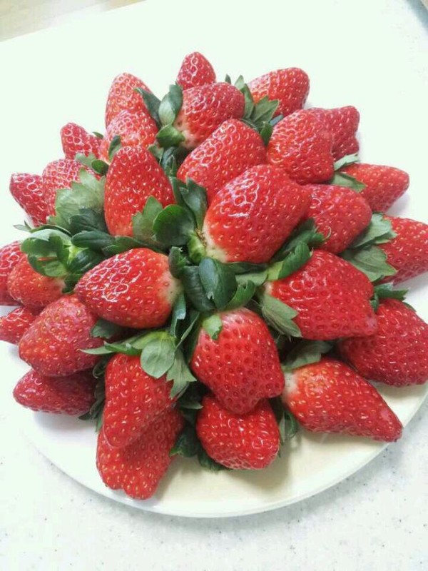 ▲ 26일 첫 수확의 기쁨을 누린 고령딸기.ⓒ고령군 제공