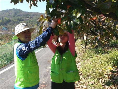 ▲ 서종대(사진 왼쪽)한국감정원 원장이 경북 청도군에서 농촌 봉사활동을 진행하고 있다.ⓒ한국감정원