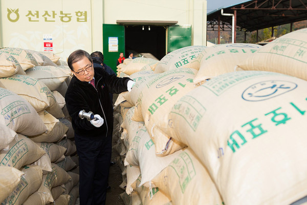 ▲ 구미시가  12일부터 2014년산 공공비축미곡 포대벼 매입에 나선 가운데 남유진 구미시장이 현장을 찾아 등급을 매기고 있다.ⓒ구미시 제공