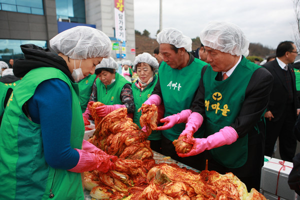 ▲ 의성군새마을회가 새마을회원 400여명이 참석한 가운데 ‘2014 사랑의 김장 담가주기’ 행사를 연 가운데 김주수 의성군수가 김장만들기에 동참했다.ⓒ의성군 제공