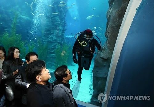 ▲ 10일 오전 서울 송파구 잠실 제2롯데월드 아쿠아리움 지하 2층 메인수조의 수중터널 구간 벽면에서 국민안전처 관계자들이 누수 현장조사를 실시하고 있다. 2014.12.10 ⓒ 연합뉴스 무단전재 및 재배포금지