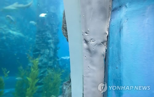 ▲ 9일 오후 누수가 발생한 서울 송파구 잠실동 제2롯데월드 아쿠아리움 지하 2층 메인수조의 수중터널 구간 벽면에 보수 공수가 이뤄져있다. ⓒ 연합뉴스 무단전재 및 재배포금지 2014.12.10