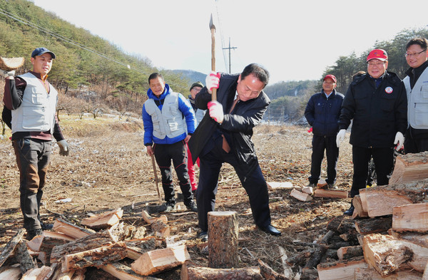 ▲ 군위군이 어려운 이웃이 따뜻한 겨울을 지낼 수 있도록‘사랑의 땔감’나누기 행사를 실시한 가운데 김영만 군수가 도끼로 장작을 쪼개고 있다.ⓒ군위군 제공