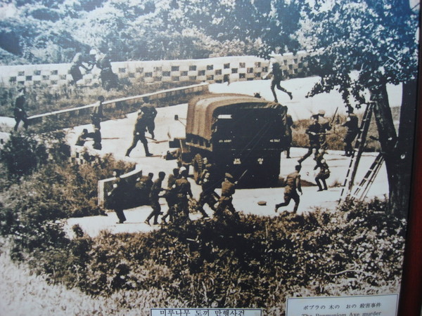 ▲ 1976년 8월 판문점 도끼만행 현장.