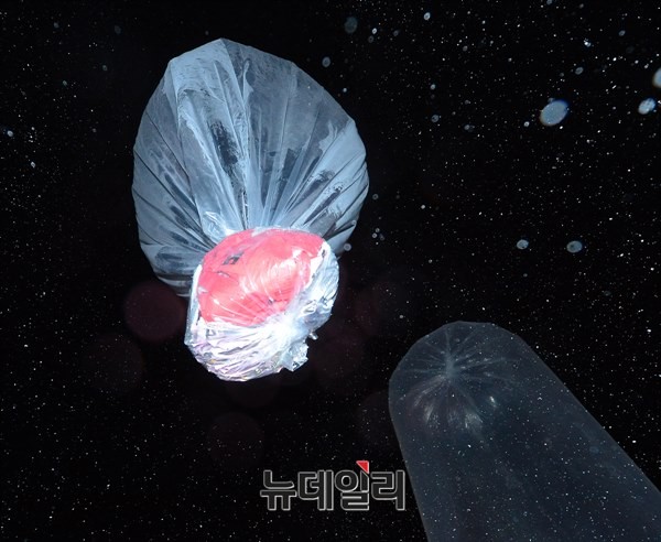 ▲ 전단, 라디오, DVD 등이 담긴 풍선이 하늘로 날아오르고 있다. 2014.12.19.ⓒ 뉴데일리 정상윤 기자