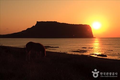 ▲ 제주 성산 일출봉.(사진제공 = 한국관광공사)