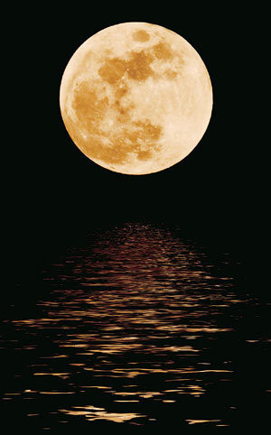 ▲ 영화 에서 주인공 덕수의 결혼식 장면 사진. 도도히 흘러가는 [생명의 강]에서 우리가 목격하는 소중한 한 단면일 것이다.ⓒ뉴데일리 사진 DB