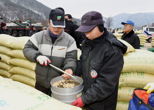 ▲ 2014년도 콩 수매 현장 ⓒ문경시 제공