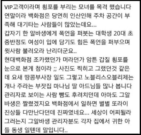 ▲ 인터넷커뮤니티 등에 ‘어느VIP모녀의 횡포’라는 제목으로 게시된 글 ⓒ인터넷 커뮤니티 캡쳐