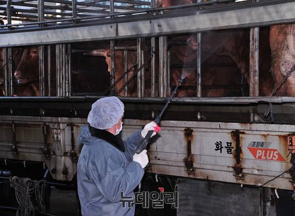 ▲ 구제역 방역소독필증이 없는 축산차량에 대해 이동 통제가 실시된다.ⓒ