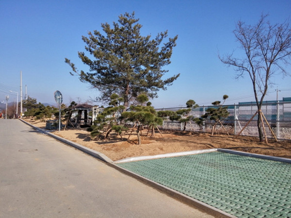 ▲ 문경시가 철로변 주변을 녹지공간으로 조성한다. 사진은 점촌역 철로변 도시숲 조성 모습.ⓒ문경시 제공