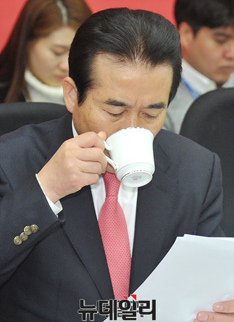 ▲ 나성린 새누리당 정책위 수석부의장. ⓒ뉴데일리 이종현 사진기자